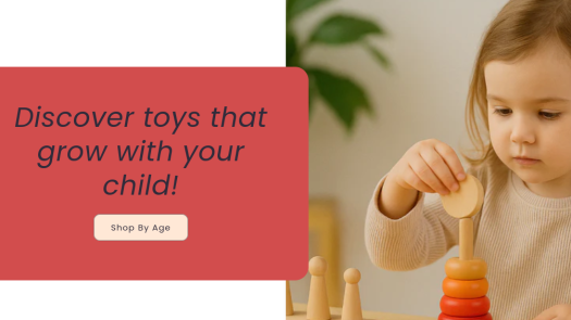 Profitable Ecommerce Montassori Toy Store