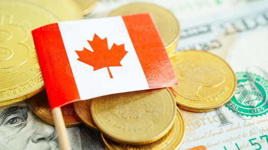 Become an Agent of a Canada MSB company.