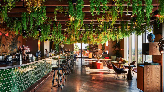 Entertainment & Culinary Delight