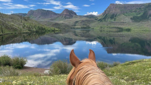 Premier Colorado Wilderness Hunting Lodge