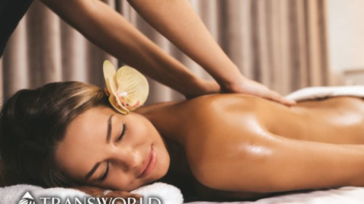 Established Franchise Massage Spa $1M+ Annual Reve