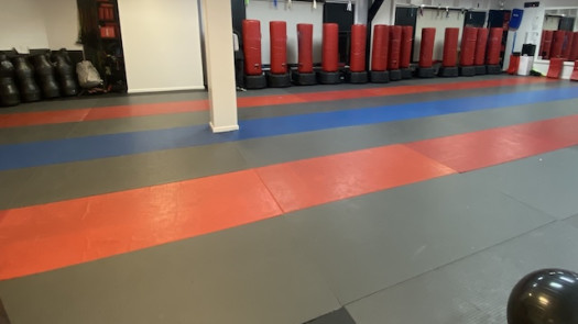 Premier Martial Arts & Fitness Business for Sale