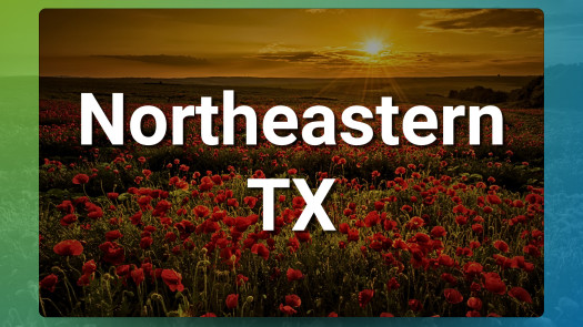 Thriving Northeast TX Clinic with Real Estate