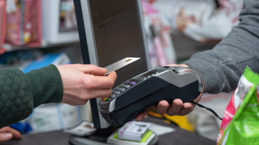 Profitable Payment Processing Business