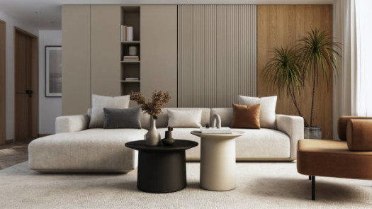 Furniture Retail Store