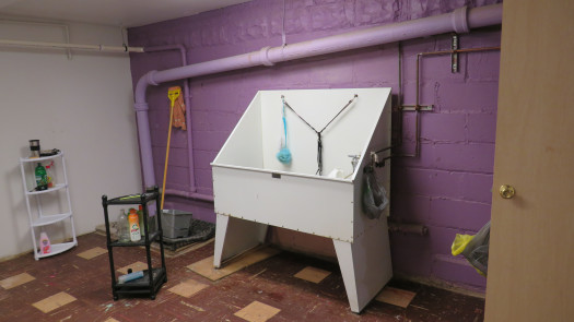 Pet Grooming Business