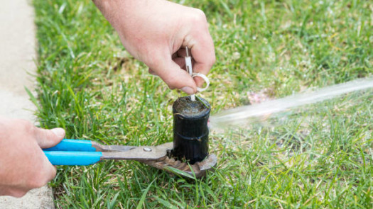 Sprinkler Startup & Blowout Business For Sale