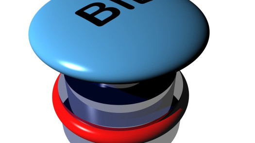 Profitable, Well Established, Online Auction