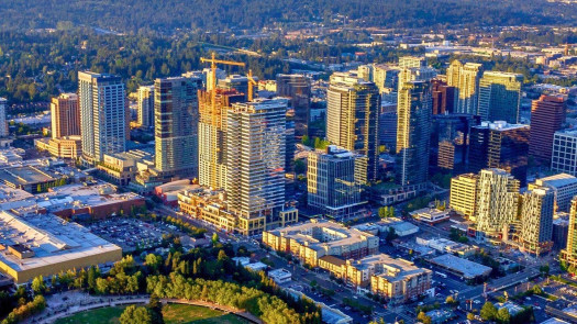 Robust Bellevue Prosthodontic Practice for Sale