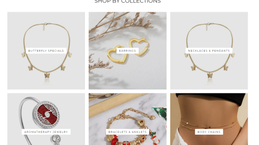 Successful E-Commerce Dropship Jewelry Business