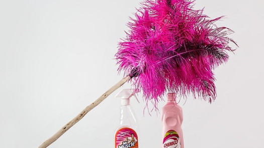 Residential Cleaning Franchise for Sale in NY