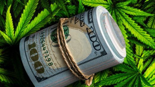 Business Line of Credit /  Cannabis Included