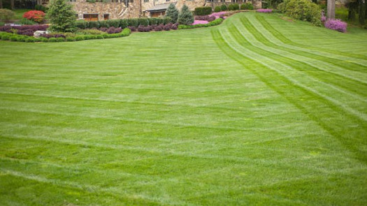 Growing Lawn Care Business-Great Systems and Staff