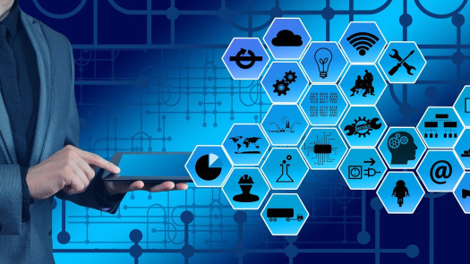 Custom Supply Chain Software