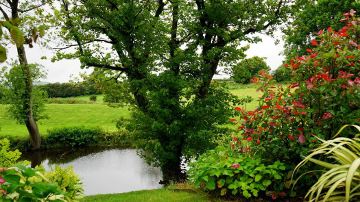 Tree and Lawn Service Franchise