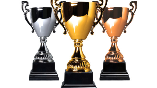 Well-known and Respected Retailer of Custom Awards