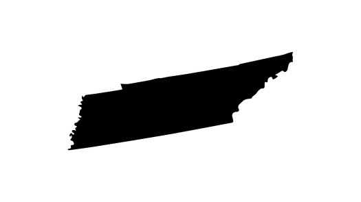 Memphis Tennessee Cash Practice For Sale