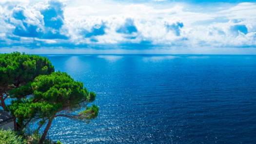 High End Villa With Seaview In Croatia