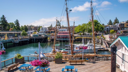 Luxurious General Dental Practice in WA