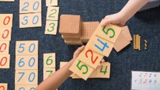 Profitable Montessori-Future of Early Childhood Ed