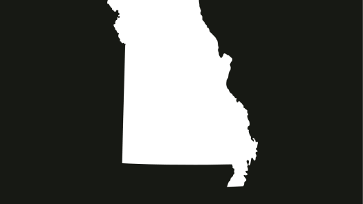 ST. Louis, MO, Practice for sale: