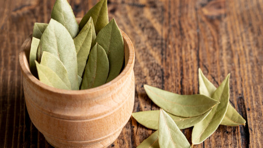 Bay Leaf Production & Export Business