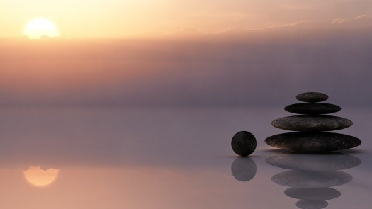 Brand New Wellness Franchise