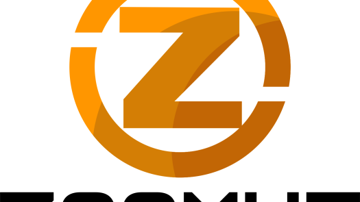 Looking for an Operational Bank to Buy