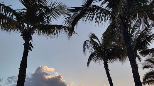 Waterfront Specialist