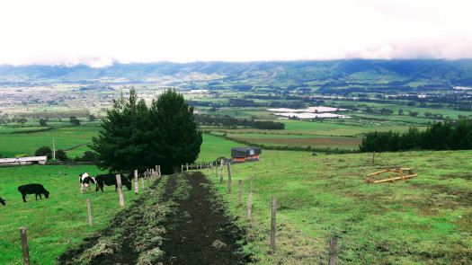 Farm For Sale In Ecuador