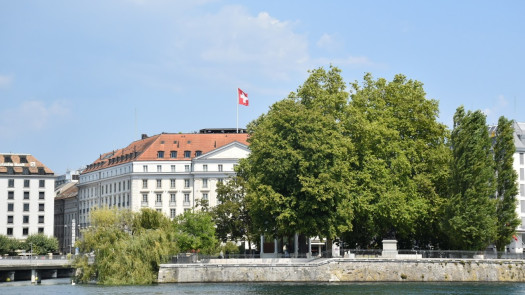 Real Estate Developer in Geneva For Sale