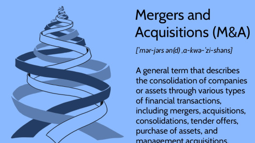 Investment Bank - Full Service (M&A/LBO)