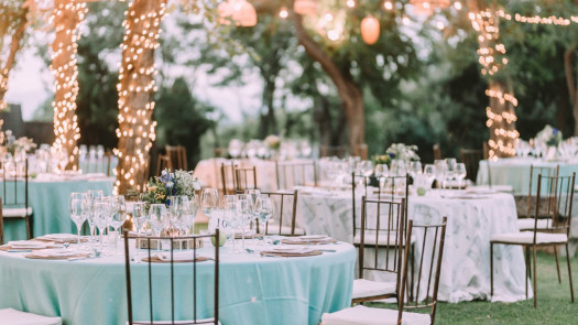 Turnkey Wedding & Event Venue with Real Estate