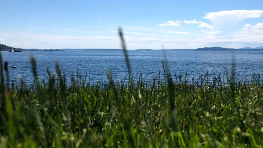 North Seattle General Dental Practice for Sale