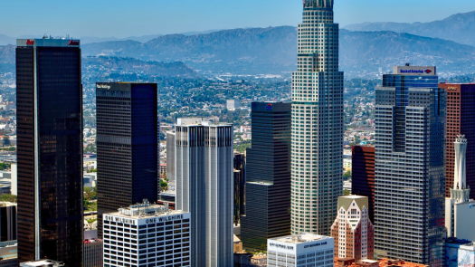 2-Doctor Vet Practice for Sale in LA County