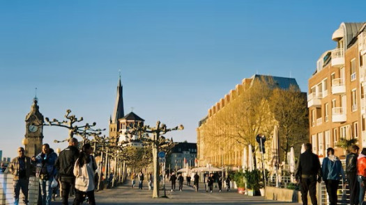 Consultants For Projects, Guarantee Loan with SBLC