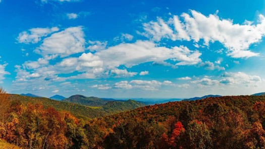 Optometry Practice for Sale – Virginia