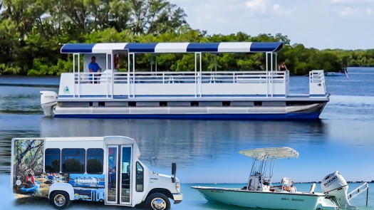 Eco-tourism Passenger Cruise Business with Buses