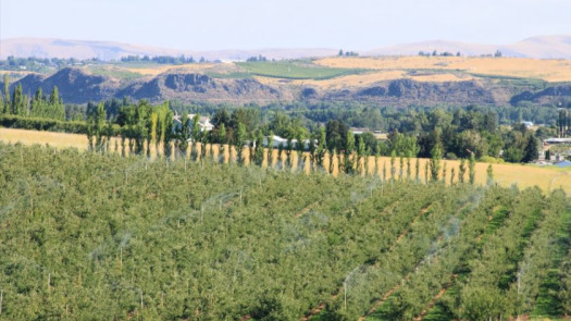 Yakima County, WA Small Animal Practice for Sale