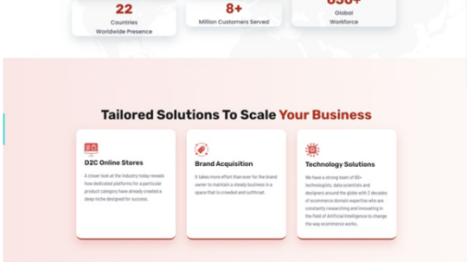 Multiple Brands eCom Network / Proprietary SaaS