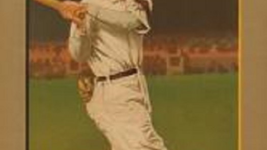 Online Sport Memorabilia Business for Sale in NY