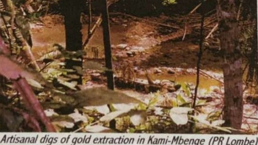 Established Mining Company -