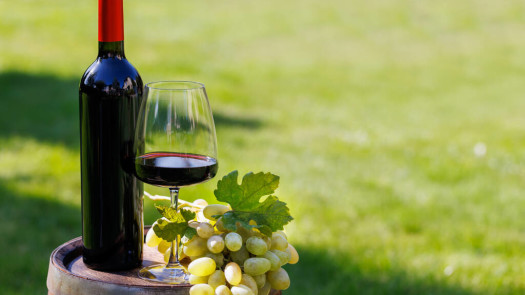 Premier Winery, Destination & Retreat in Tennessee