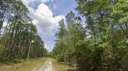 Nice Land in Georgetown Florida