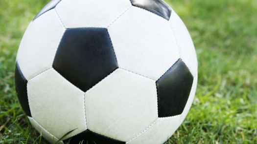 Successful Specialty Sporting Goods Retailer