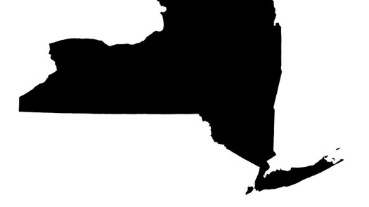 Manhattan NY Chiropractic Practice for Sale