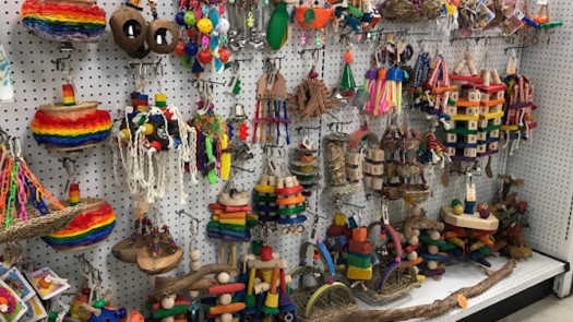 Pet Shop & Aquarium Center for Sale