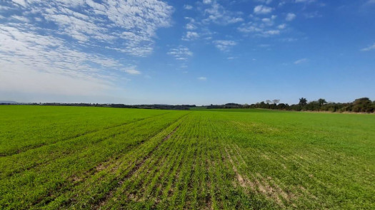 Agriculture Farm in Caazapa, Paraguay