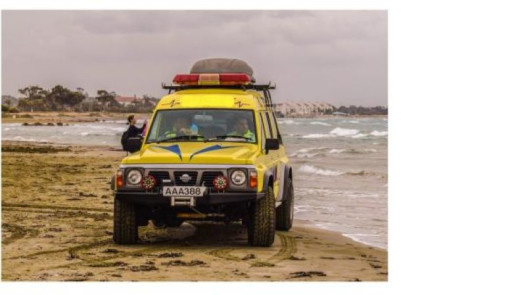 Established Armed Security Guard & Patrol Business