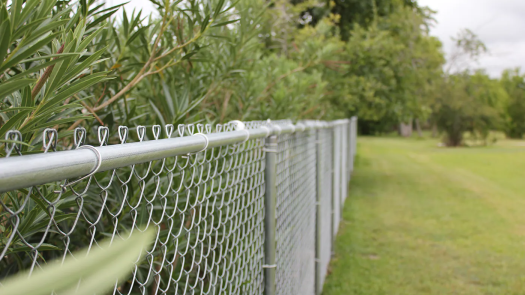 Established Business with Strong Growth Potential